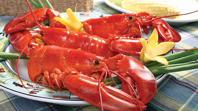 Lobster Boiled halong bay